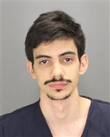 LEONARDO BELATTO TRIBIA Mugshot / Oakland County MI Arrests / Oakland County Michigan Arrests