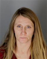 CHRYSTAL MARIE BARNDOLLAR Mugshot / Oakland County MI Arrests / Oakland County Michigan Arrests