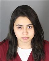 SOPHIA SUZAN CANTU Mugshot / Oakland County MI Arrests / Oakland County Michigan Arrests