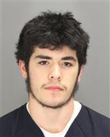 GARIT MITCHELL GRAY Photo / GARIT MITCHELL GRAY Images