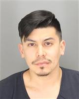 ALEXANDER  CALDERON Mugshot / Oakland County MI Arrests / Oakland County Michigan Arrests