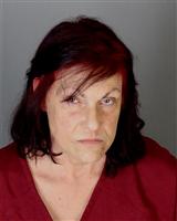 SUSAN LYNN JAY Mugshot / Oakland County MI Arrests / Oakland County Michigan Arrests