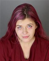 JORDAN SKYE SERBANTEZ Mugshot / Oakland County MI Arrests / Oakland County Michigan Arrests