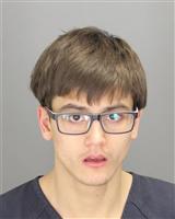 NIKOLAS BORIS MARIANI Mugshot / Oakland County MI Arrests / Oakland County Michigan Arrests