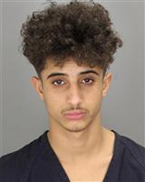 WAGDI MAJED ALFHED Mugshot / Oakland County MI Arrests / Oakland County Michigan Arrests