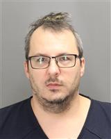 TYLER LEE ANDERSON Mugshot / Oakland County MI Arrests / Oakland County Michigan Arrests