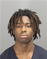 MICHAEL  BAILEY Photo / MICHAEL  BAILEY Images