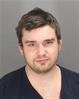 GABRIEL VINCENT FAMULARO Mugshot / Oakland County MI Arrests / Oakland County Michigan Arrests