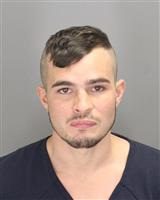 RYAN CAIN NEWELL Photo / RYAN CAIN NEWELL Images