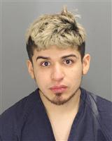 JORGE FRANCISCO HERNANDEZMUNOZ Photo / JORGE FRANCISCO HERNANDEZMUNOZ Images