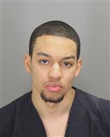 JOSHUA MALEK GIBBS Photo / JOSHUA MALEK GIBBS Images