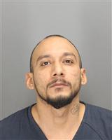 MARCOS ALLEN LLANES Mugshot / Oakland County MI Arrests / Oakland County Michigan Arrests