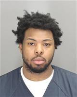 RYAN ANTONIO JOHNSON Mugshot / Oakland County MI Arrests / Oakland County Michigan Arrests