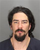 NICHOLAS FRANK CARR Photo / NICHOLAS FRANK CARR Images