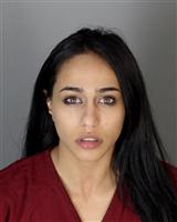 SHAHD KAREEM ALHISNAWI Mugshot / Oakland County MI Arrests / Oakland County Michigan Arrests