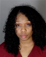 STACEY ALIX JOHNSON Mugshot / Oakland County MI Arrests / Oakland County Michigan Arrests