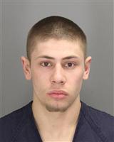 MATTHEW ALLEN WAGNER Mugshot / Oakland County MI Arrests / Oakland County Michigan Arrests