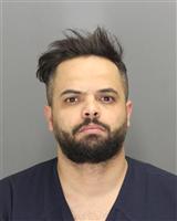ALAA MAHMOUD NASIF Mugshot / Oakland County MI Arrests / Oakland County Michigan Arrests