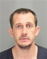 MARK DAVID COLLIS Photo / MARK DAVID COLLIS Images