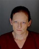 SAMANTHA LYNN ANDRIAN Mugshot / Oakland County MI Arrests / Oakland County Michigan Arrests