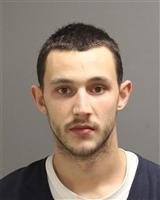 BRANDON MICHAELDOUGLAS ROY Mugshot / Oakland County MI Arrests / Oakland County Michigan Arrests
