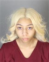 CHANTELLE MARIE FAHNER Mugshot / Oakland County MI Arrests / Oakland County Michigan Arrests