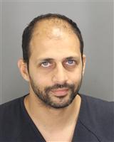 JOHNMINA MOHSEN IBRAHIM Mugshot / Oakland County MI Arrests / Oakland County Michigan Arrests