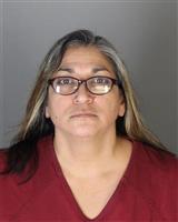 ELENA BEATRIS HUANTES Mugshot / Oakland County MI Arrests / Oakland County Michigan Arrests