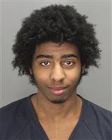 CHRISTIAN DEAN JOHNSON Photo / CHRISTIAN DEAN JOHNSON Images