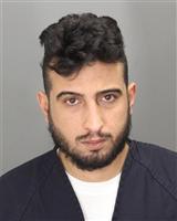 SAJJAD ALI ALAGELE Mugshot / Oakland County MI Arrests / Oakland County Michigan Arrests