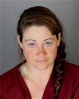 JESSICA ANN ANDERSON Mugshot / Oakland County MI Arrests / Oakland County Michigan Arrests