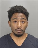 GERALD DEJUAN GORMAN Photo / GERALD DEJUAN GORMAN Images