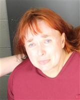 SUSAN ANNE ADAMS Mugshot / Oakland County MI Arrests / Oakland County Michigan Arrests
