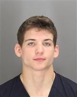 BENJAMIN JOSEPH WHITTAKER Photo / BENJAMIN JOSEPH WHITTAKER Images