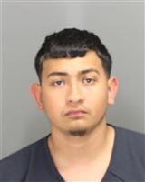 DIEGO JORDAN SANCHEZ Photo / DIEGO JORDAN SANCHEZ Images