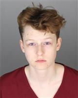 KAILY MARIE SULLIVAN Mugshot / Oakland County MI Arrests / Oakland County Michigan Arrests