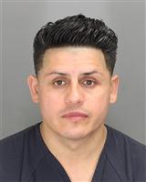 JOSE  SANCHEZPALACIOS Photo / JOSE  SANCHEZPALACIOS Images