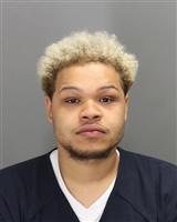 DESHAWN DARNELL ARBITTER Mugshot / Oakland County MI Arrests / Oakland County Michigan Arrests