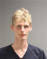 JOSHUA DALE MORGAN Mugshot / Oakland County MI Arrests / Oakland County Michigan Arrests