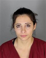 FARAJ ABED SHEMS Photo / FARAJ ABED SHEMS Images