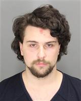 DANIEL JOSEPH CIARELLI Photo / DANIEL JOSEPH CIARELLI Images