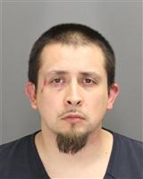 JEREMY MICHAEL LAWRENCE Photo / JEREMY MICHAEL LAWRENCE Images