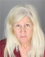 KRISI  WEINBRENNER Photo / KRISI  WEINBRENNER Images