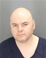ALEKSANDR BORISOVICH ARON Mugshot / Oakland County MI Arrests / Oakland County Michigan Arrests