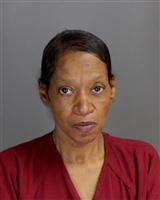 SERENA ANN WHITE Mugshot / Oakland County MI Arrests / Oakland County Michigan Arrests