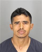 JOSE LUIS ALVARESALONZO Photo / JOSE LUIS ALVARESALONZO Images