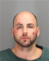 MATTHEW JOSEF SCHMIDT Mugshot / Oakland County MI Arrests / Oakland County Michigan Arrests