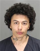 SHAYNE ISSAC PRUITT Photo / SHAYNE ISSAC PRUITT Images