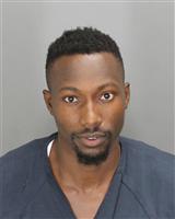 BRIAN OSINDE BIRUNDU Mugshot / Oakland County MI Arrests / Oakland County Michigan Arrests