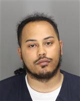 LAUREN JAMES CRAIN Mugshot / Oakland County MI Arrests / Oakland County Michigan Arrests